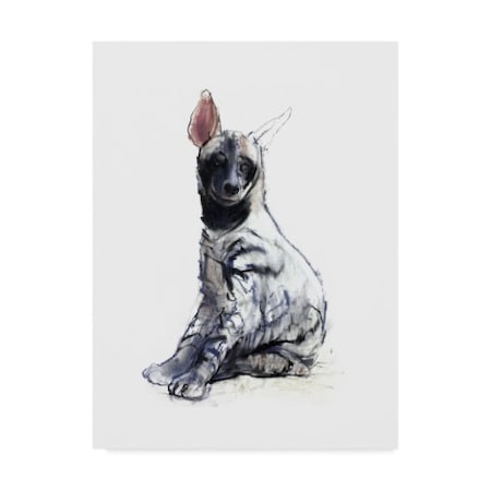 Mark Adlington 'Striped Hyena Pup Seated' Canvas Art,18x24